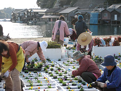 伊根浦舟屋群等保存会